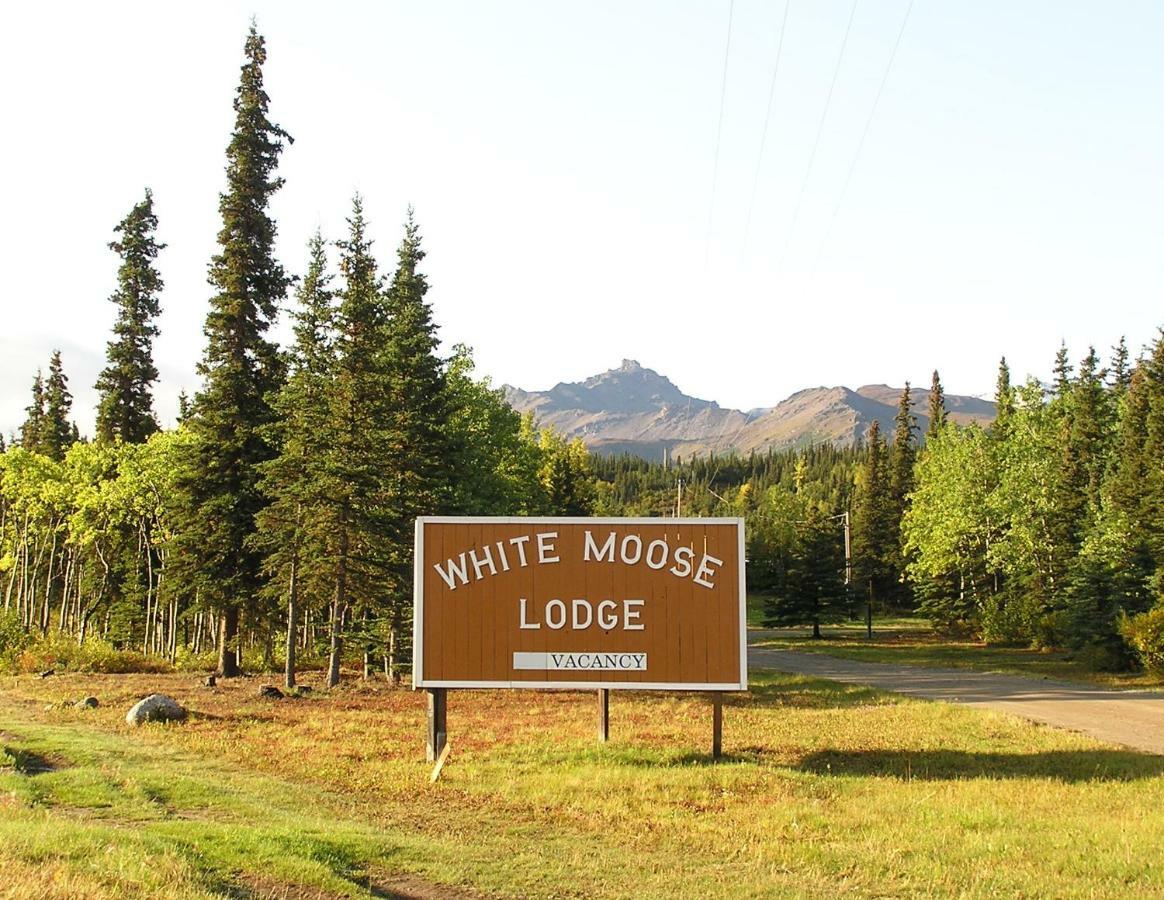 הילי White Moose Lodge מראה חיצוני תמונה