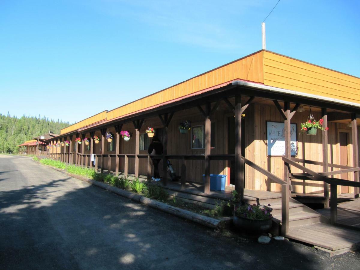 הילי White Moose Lodge מראה חיצוני תמונה