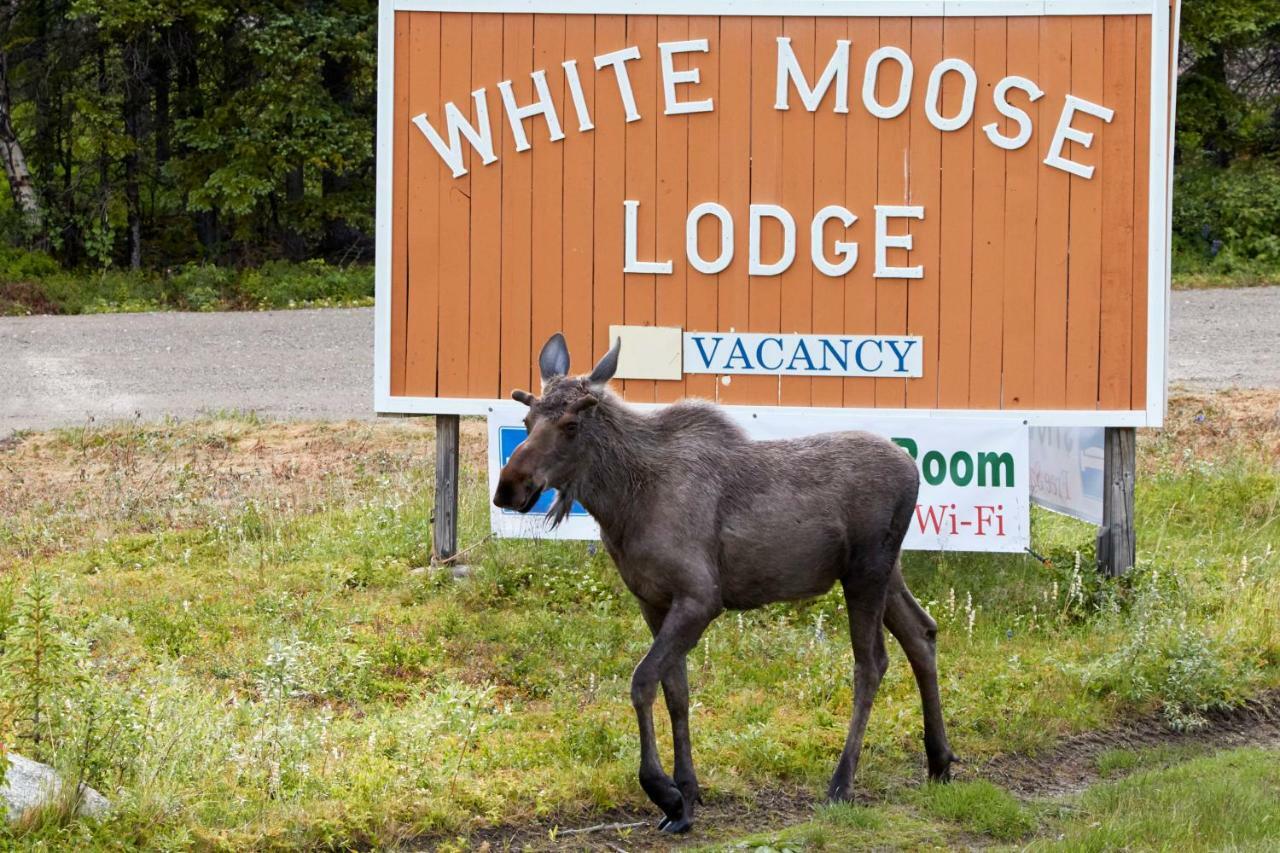 הילי White Moose Lodge מראה חיצוני תמונה